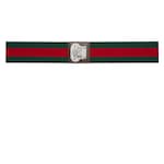 green and red canvas