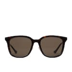 tortoiseshell acetate
