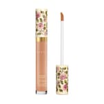 36N, Concentré de Beauté, Concealer