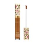 46N, Concentré de Beauté, Concealer