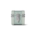 бледно-зеленый GG Supreme