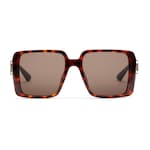 tortoiseshell