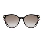 dark tortoiseshell