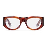 brown tortoiseshell