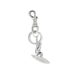 metallo color argento