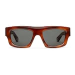 brown tortoiseshell