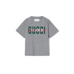 grigio chiaro