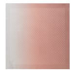 gradient rose