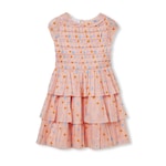 Children's embroidered organza dress