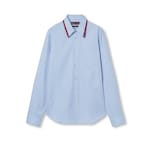 бледно-голубой