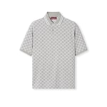 grigio e bianco