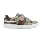 GG Supreme beige e marrone