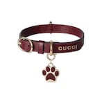 Small/medium collar
