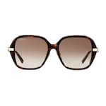 dark brown tortoiseshell