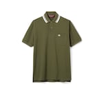 verde bosco