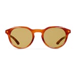 light brown tortoiseshell