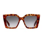 light brown tortoiseshell