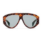 light brown tortoiseshell