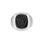     ottone color argento