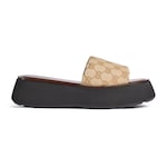 sandfarbener und brauner GG Canvas