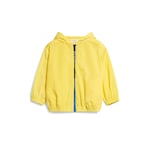 Giallo Ready-to-wear