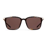 brown tortoiseshell