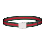 grüner und roter Canvas