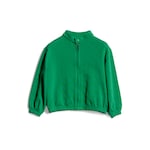 verde y verde oscuro