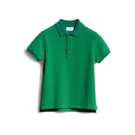 green and dark green