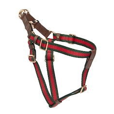 Harnais pour animal de compagnie taille L/XL