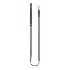 Laisse pour animal de compagnie taille XS 