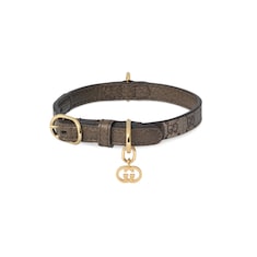 Collier pour animal de compagnie taille XS