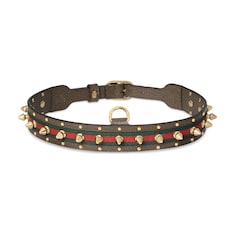 Halsband für mittelgroße/große Haustiere