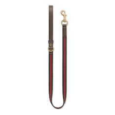 Laisse pour animal de compagnie taille S/M