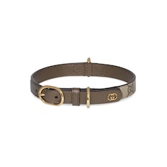 Collier pour animal de compagnie taille S/M