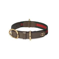 Collare per animali taglia S/M