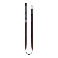 Laisse pour animal de compagnie taille XS