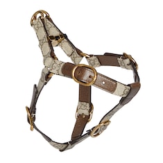 Harnais pour animal de compagnie taille S/M