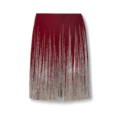 Crystal fringe embroidered skirt