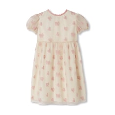 Children's embroidered tulle dress