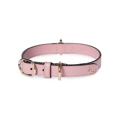 Small/medium collar