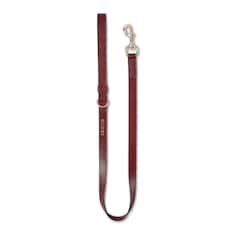 Small/medium leash