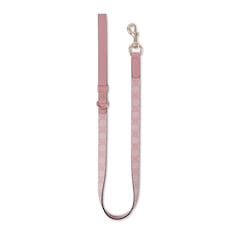 Small/medium leash
