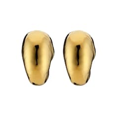 Orecchini a forma di conchiglia
