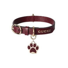 Small/medium collar