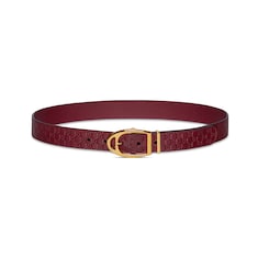 Belt with stirrup buckle