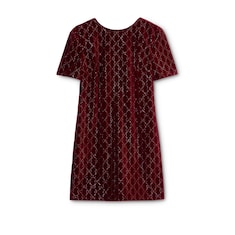 Embroidered cotton velvet dress
