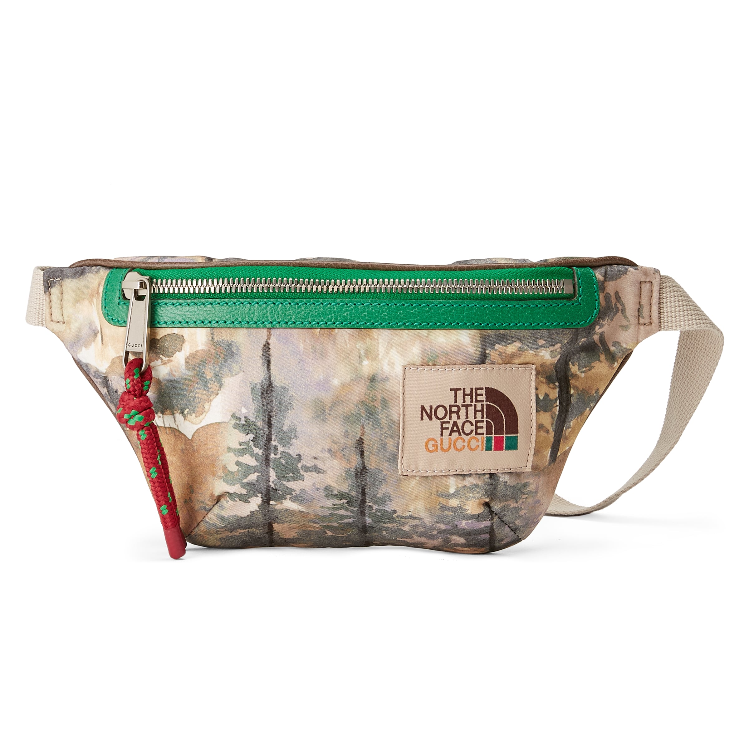 650299_UIMBN_3198_001_067_0016_Light-The-North-Face-x-Gucci-belt-bag.jpg