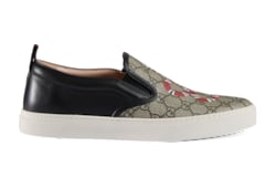 Gucci supreme kingsnake hotsell