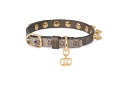 Gucci dog collar price sale